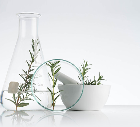 Rosemary Cosmetics