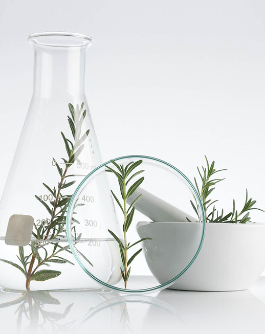 Rosemary Cosmetics