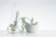 Rosemary Cosmetics