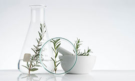 Rosemary Cosmetics