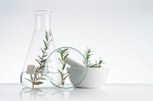 White Labeling in Pharmaceutical Formulation: Spotlight on Farbe Firma Pvt Ltd