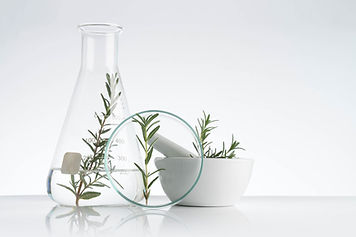 Rosemary Cosmetics