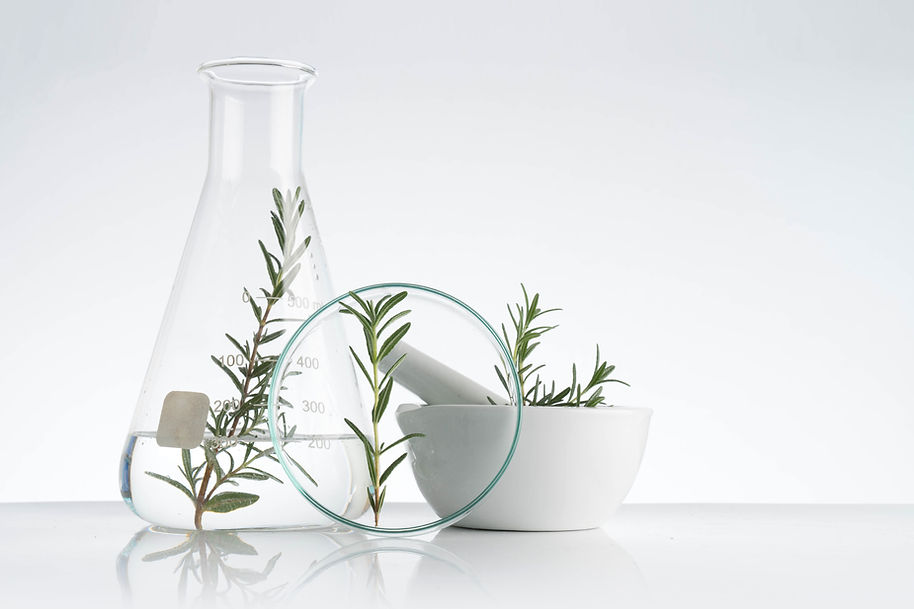 Rosemary Cosmetics