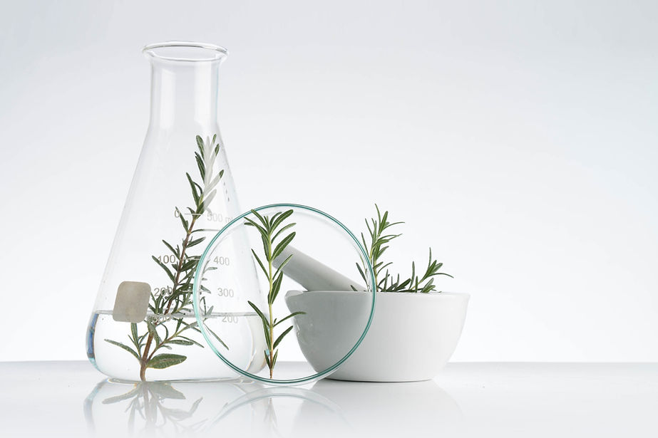 Rosemary Cosmetics