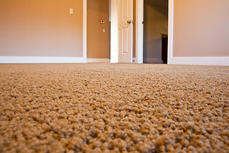 Low angle view of a newly installed textured beige carpet in a room