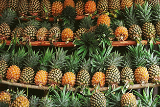 lots of pineapple