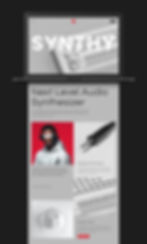 Website Design