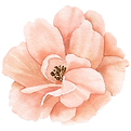 Watercolor Peach Flower