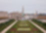 Garden in the city