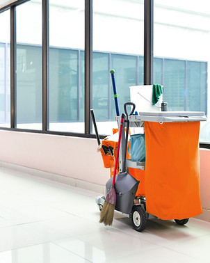 Cleaning Cart