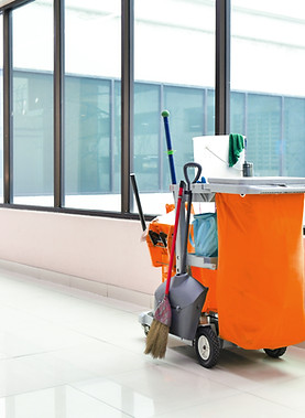 Carro de limpieza