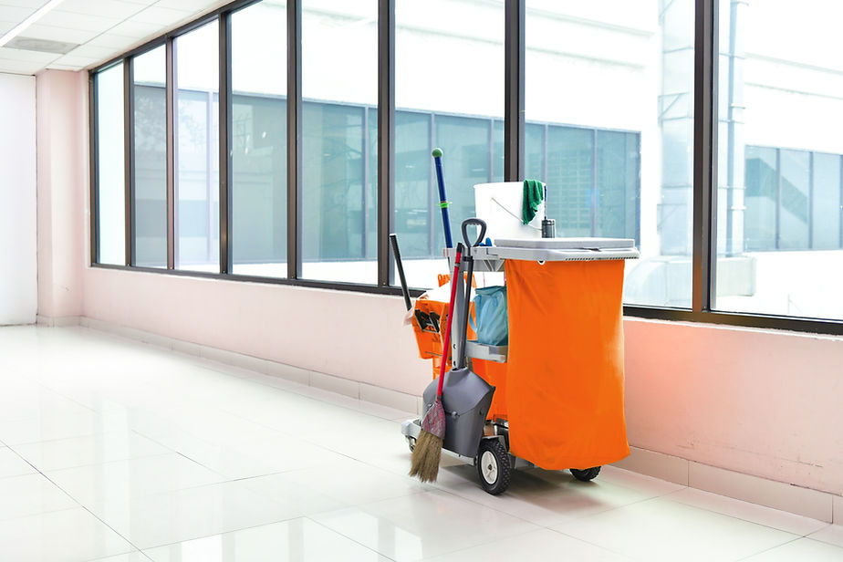 Cleaning Cart