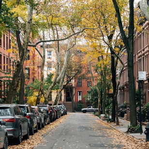 Autumn city street. brick building and cars parked, fallen leaves on the ground.