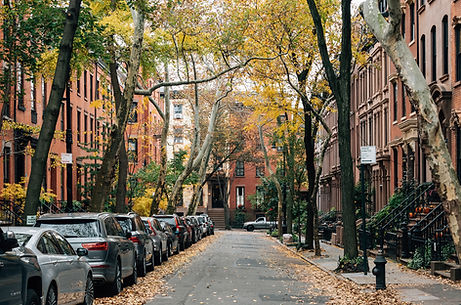 Autumn City Street