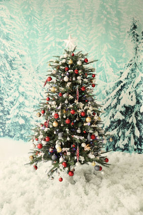 The Ultimate Christmas Tree and Festive Plant Guide