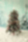 Decorated Christmas Tree