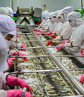 Vietnam's seafood production