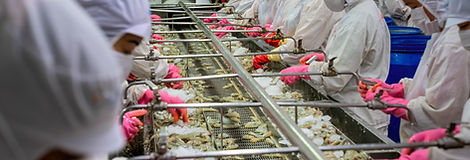 Vietnam's seafood production