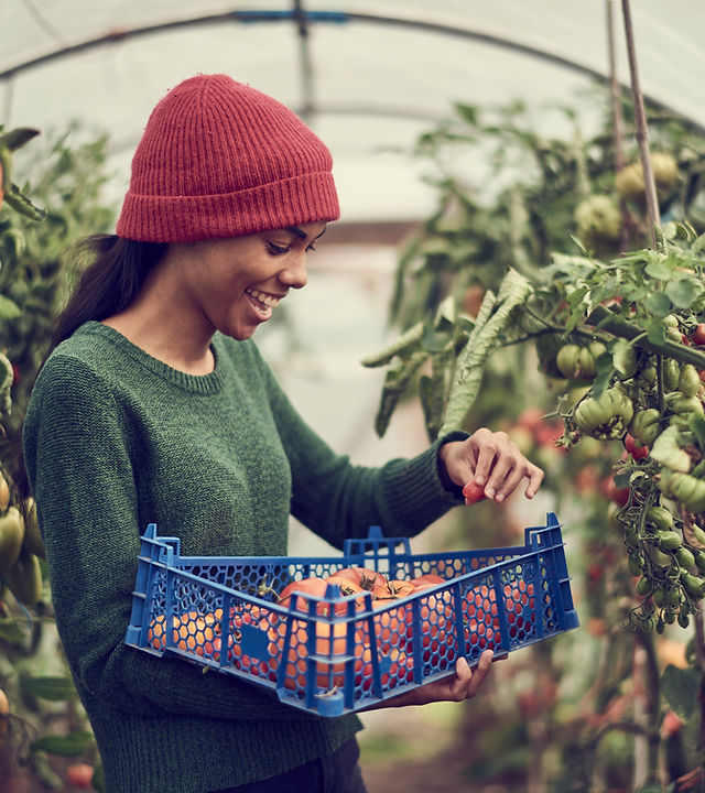 Happy girl in a greenhouse, tomato greenhouse