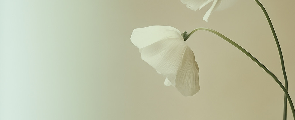 White Flowers on Beige