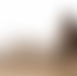 Une photo douce et lumineuse, d’une femme regardant par la fenêtre, tasse de café à la main, dans une ambiance calme et introspective.