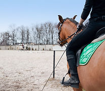 Maneggio San Teodoro