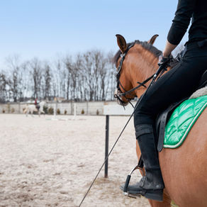 Equine Science Sundays: The 'Misbehaving' Sport Horse