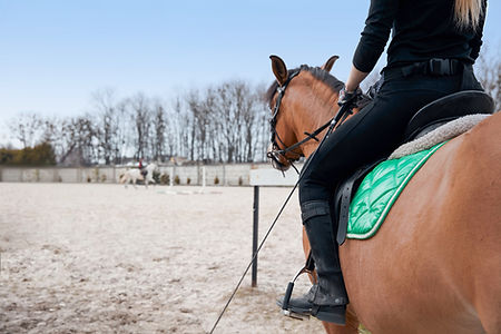 Woman Riding a Horse