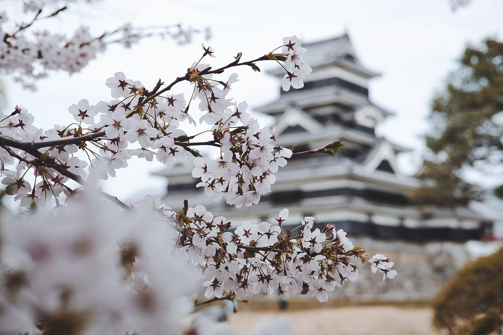 Castillo japonés y flores