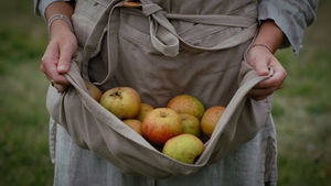 Réunion publique : Projet de plantation d’un verger citoyen