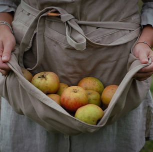 Farm & Forest School is Hiring