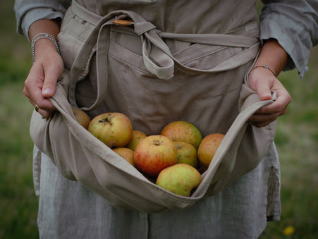 Food Prices increasing by 400%? The Solution to Upcoming Food Shortages