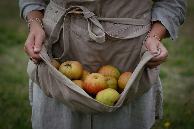 Woman Holding Apples