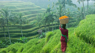 Living in Bali: Guide to Moving to Bali as an Expat