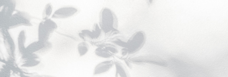 Pared de sombras de hojas