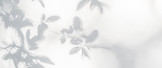 Shadow leaves
