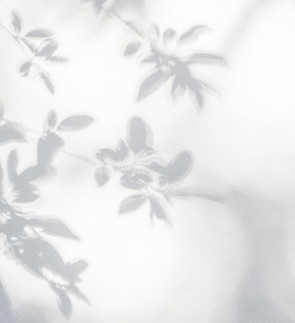 Mur des ombres de feuilles