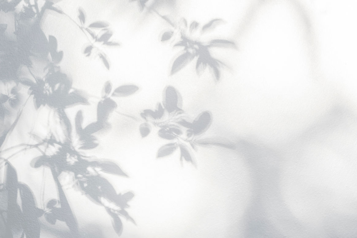 Leaves Shadow