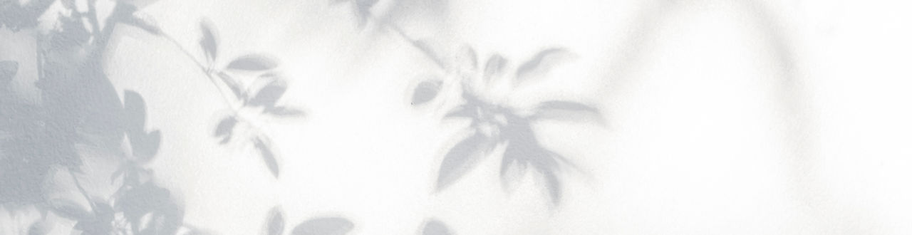 Leaves Shadow