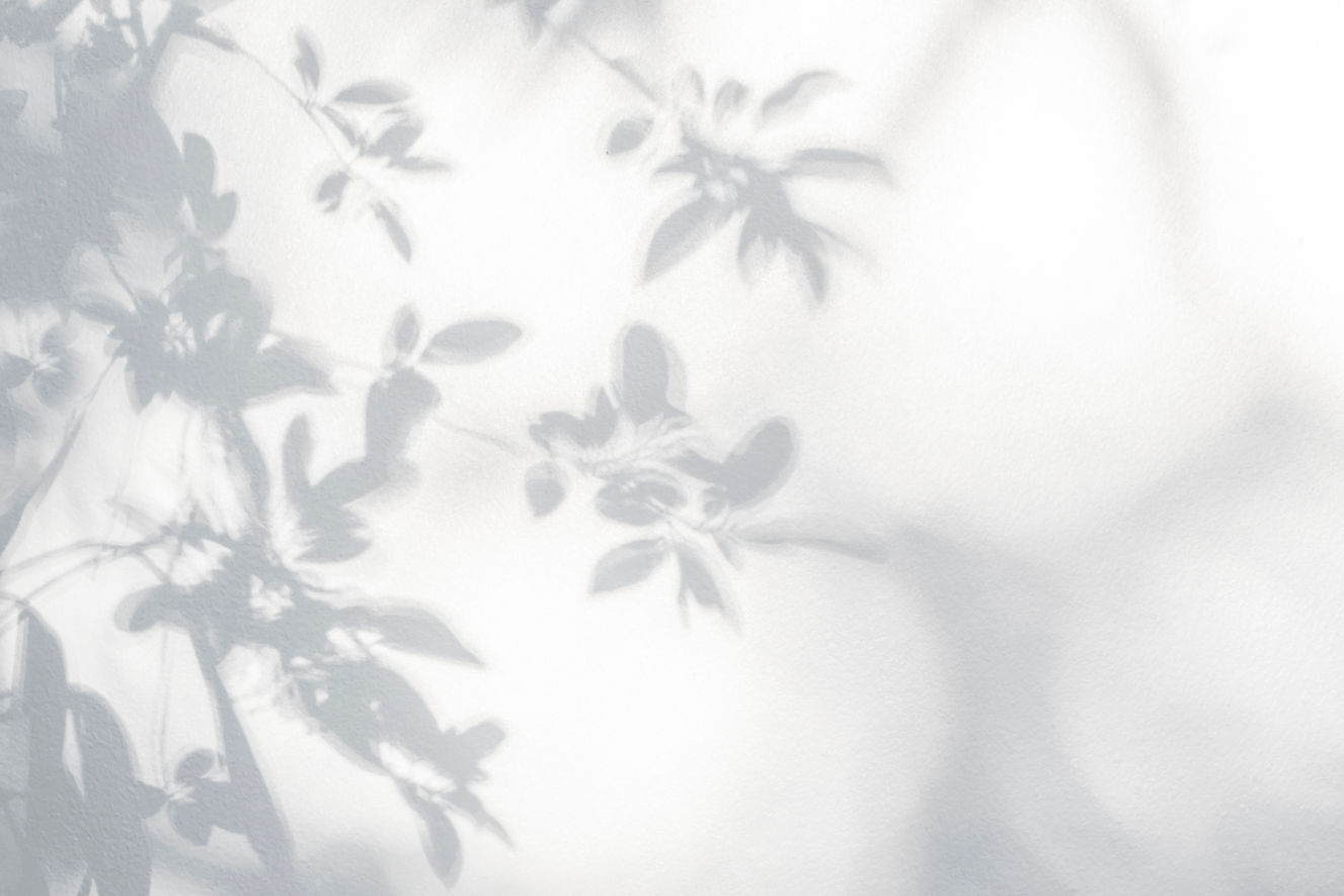 Leaf Shadows Wall
