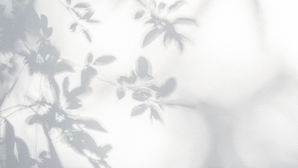 After his son's abuse, a deacon left the Catholic Church. Now he's excommunicated