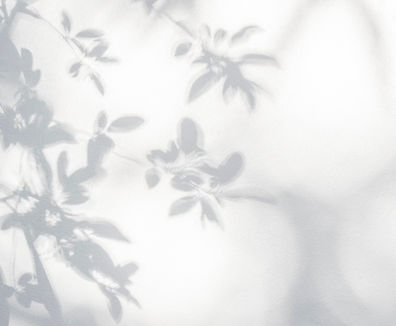 Leaves Shadow