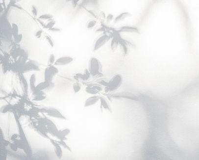 Leaves Shadow