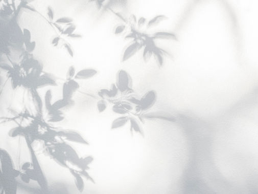 Steady in the Web: Finding Stillness in the Rush of Summer