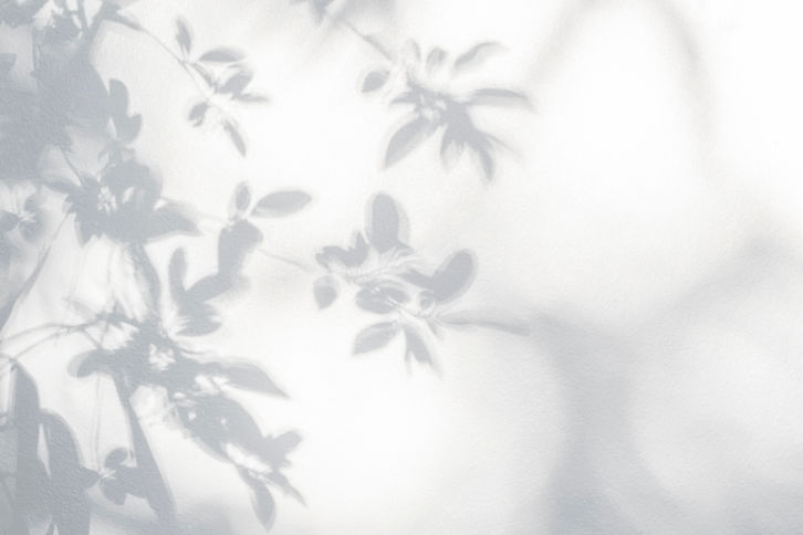 Leaves Shadow