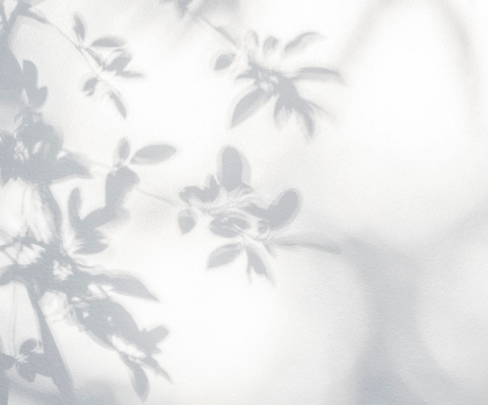 Leaves Shadow