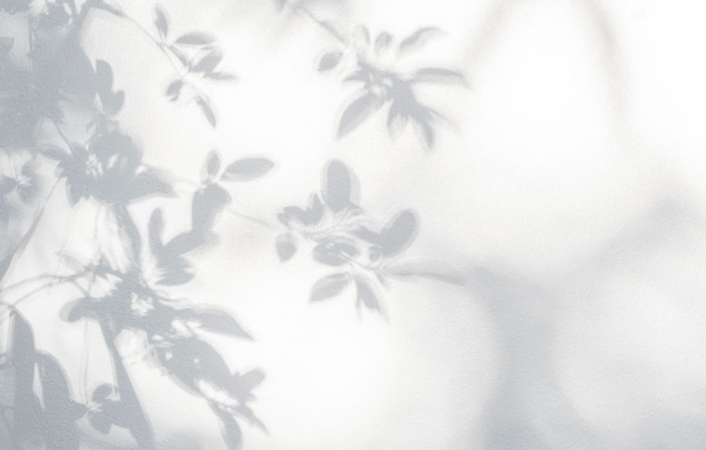 Leaves Shadow 