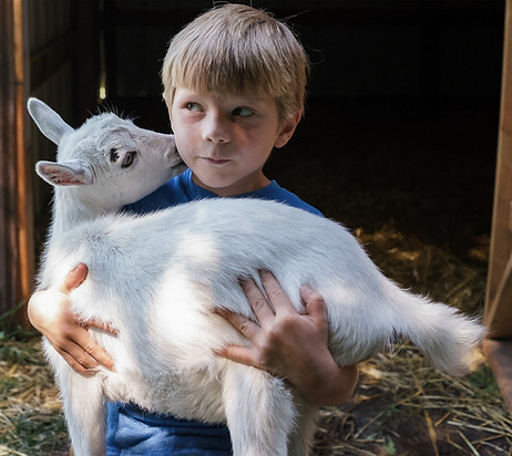 Boy Carrying Goat