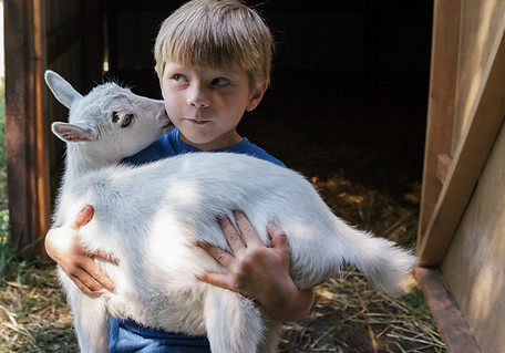 Boy Carrying Goat