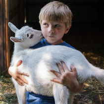 Boy Carrying Goat
